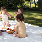 Children sitting on a blanket outdoors with fruits and a basket.